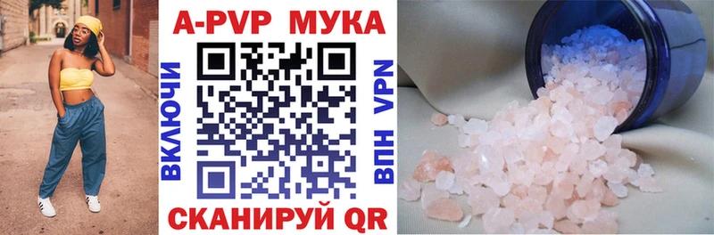 Купить закладки  Шахунья  Alpha PVP крисы CK 