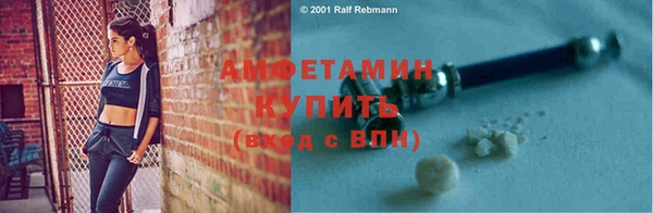 прущие грибы Новодвинск