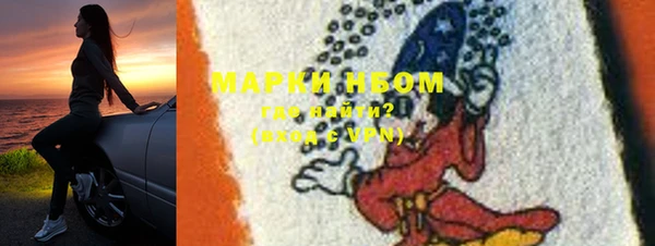 прущие грибы Новодвинск