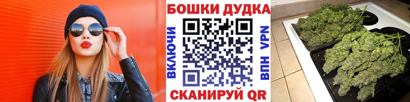 Купить закладки  Шахунья  Бошки Шишки сатива 